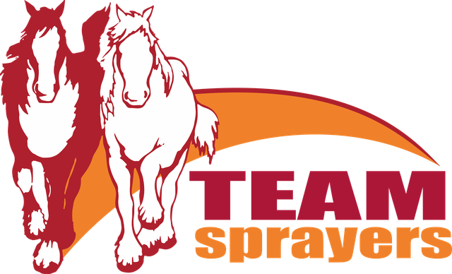 Team
