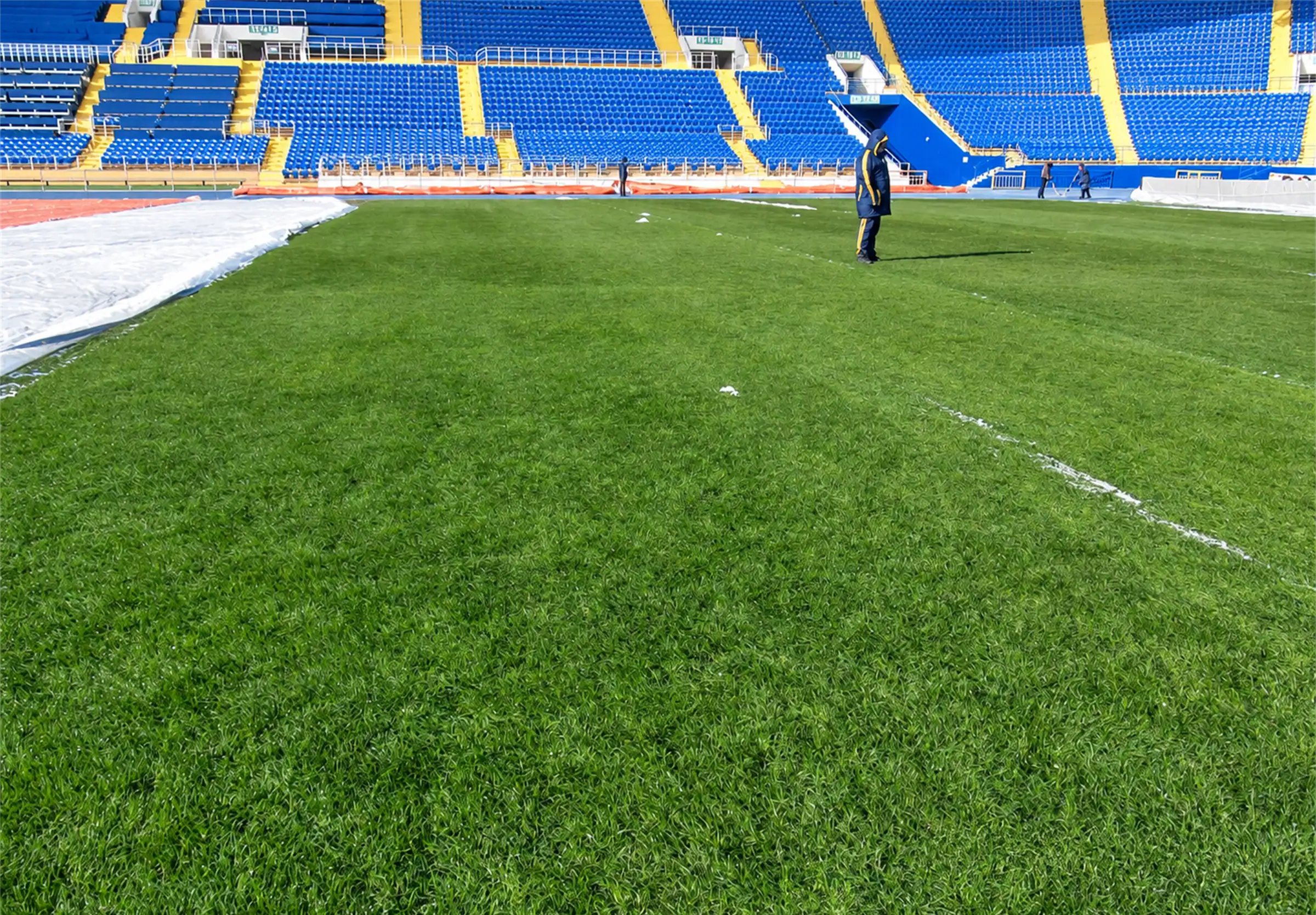 The Metalist Stadium turf after reconstruction